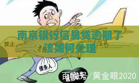 南京银行信易贷逾期了该如何处理
