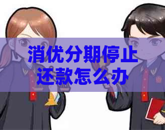 消优分期停止还款怎么办