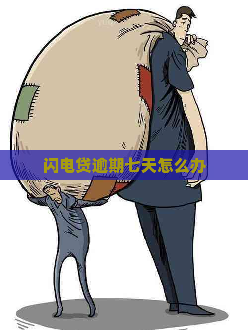 闪电贷逾期七天怎么办
