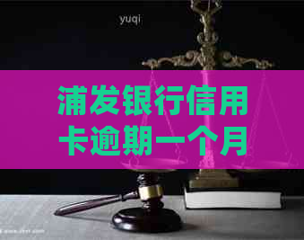 浦发银行信用卡逾期一个月会怎样处理