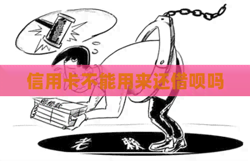信用卡不能用来还网贷吗