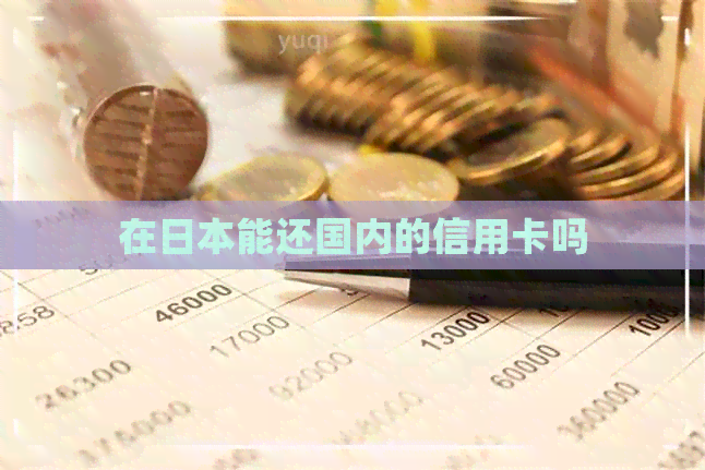 在能还国内的信用卡吗