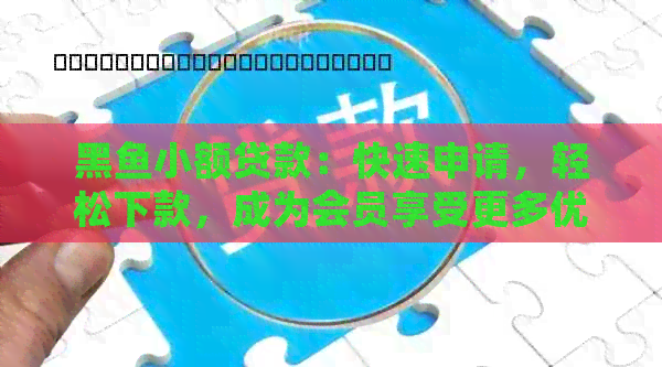 黑鱼小额贷款：快速申请，轻松下款，成为会员享受更多优