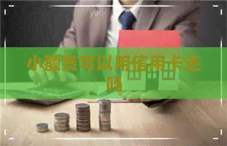 小额贷可以用信用卡还吗