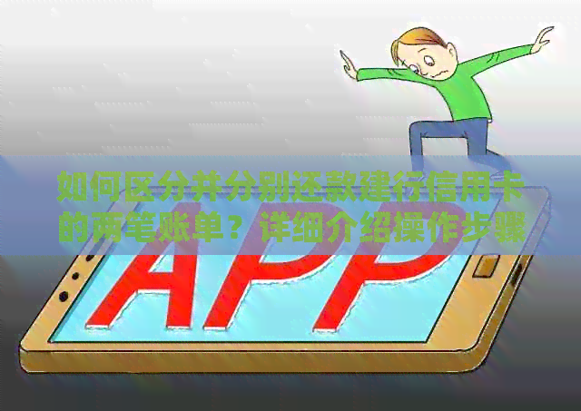 如何区分并分别还款建行信用卡的两笔账单？详细介绍操作步骤及注意事项
