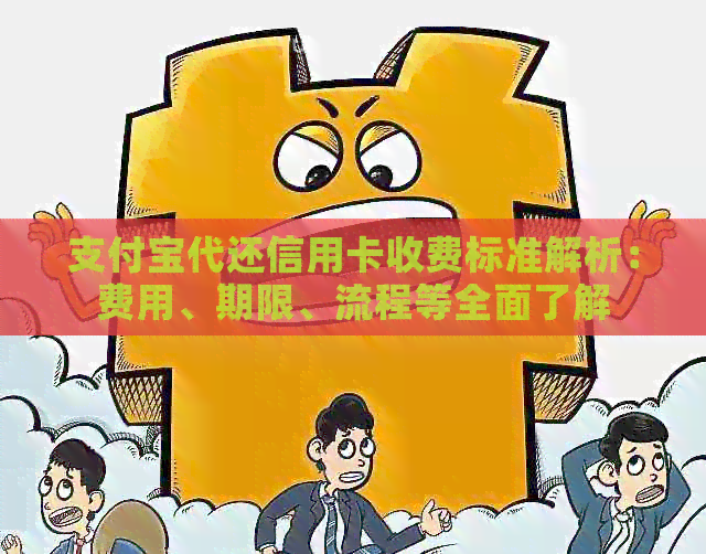 支付宝代还信用卡收费标准解析：费用、期限、流程等全面了解