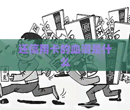 还信用卡的血泪是什么