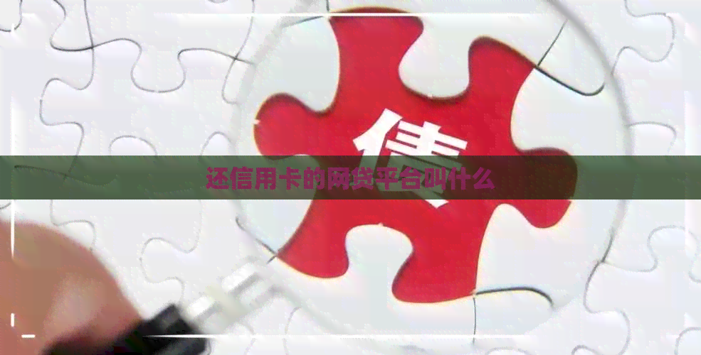 还信用卡的网贷平台叫什么