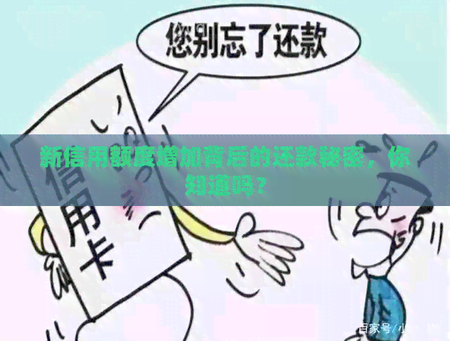 新信用额度增加背后的还款秘密，你知道吗？