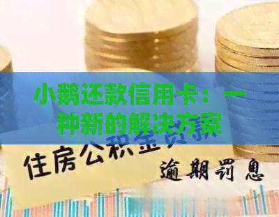 小鹅还款信用卡：一种新的解决方案