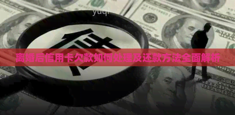 离婚后信用卡欠款如何处理及还款方法全面解析