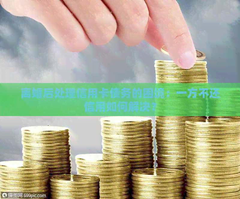 离婚后处理信用卡债务的困境：一方不还信用如何解决？