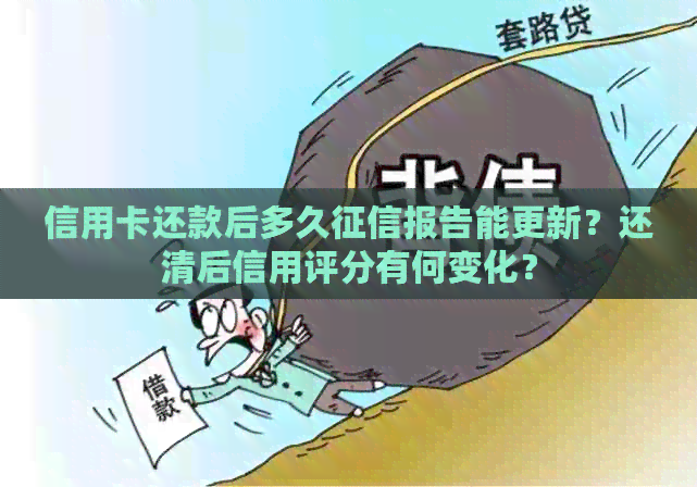信用卡还款后多久报告能更新？还清后信用评分有何变化？