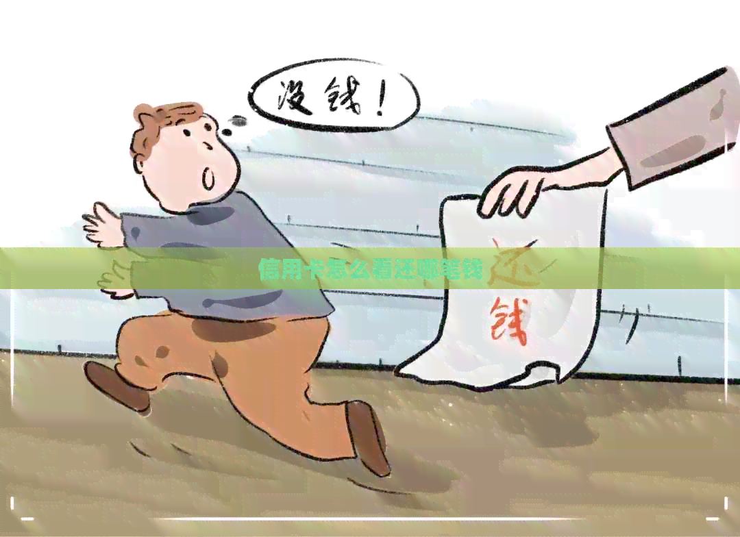 信用卡怎么看还哪笔钱