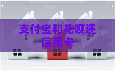 支付宝和信用卡还信用卡