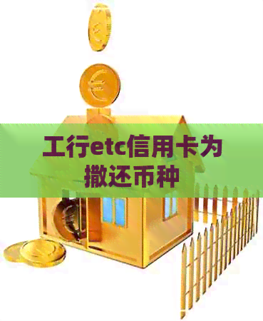 工行etc信用卡为撒还币种