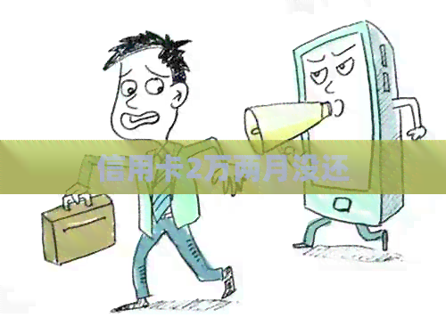 信用卡2万两月没还