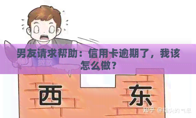 男友请求帮助：信用卡逾期了，我该怎么做？