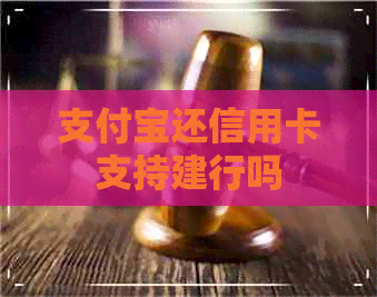 支付宝还信用卡支持建行吗
