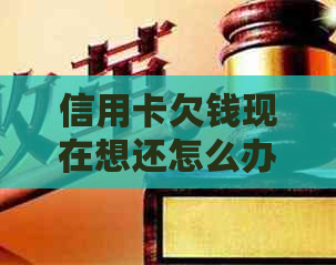 信用卡欠钱现在想还怎么办如何处理？