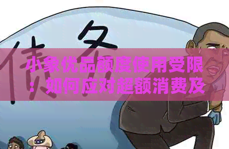 小象优品额度使用受限:如何应对超额消费及订单金额问题