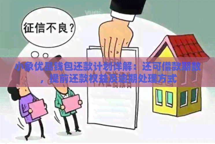 小象优品钱包还款计划详解:还可借款期数,提前还款权益及逾期处理方式