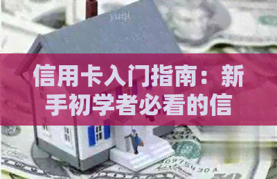 信用卡入门指南:新手初学者必看的信用卡使用技巧和优化策略
