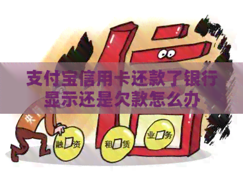 支付宝信用卡还款了银行显示还是欠款怎么办