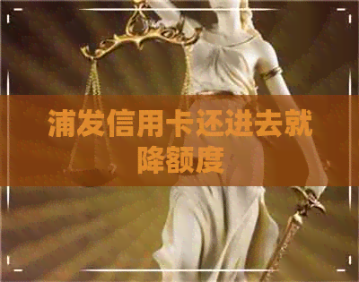 浦发信用卡还进去就降额度