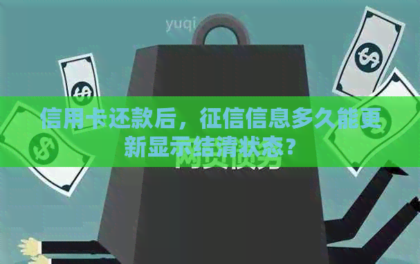 信用卡还款后，信息多久能更新显示结清状态？