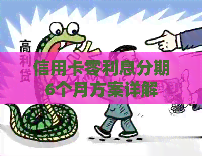 信用卡零利息分期6个月方案详解