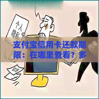 支付宝信用卡还款期限：在哪里查看？多久？多少天？每月限额是多少？