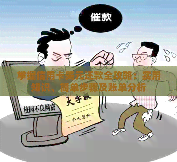 掌握信用卡美元还款全攻略：实用知识、简单步骤及账单分析