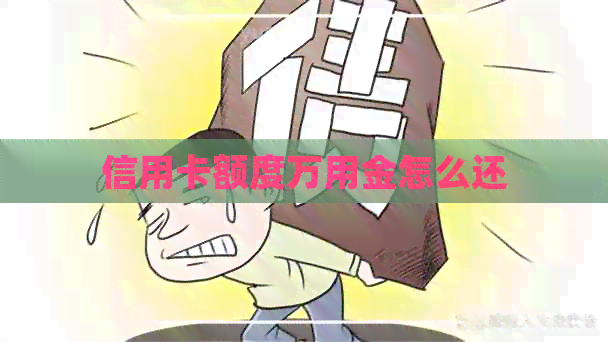 信用卡额度万用金怎么还