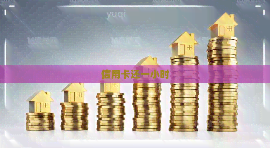信用卡还一小时