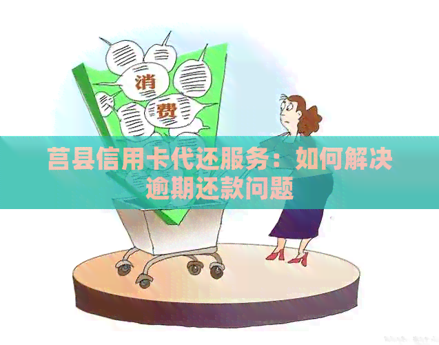 莒县信用卡代还服务：如何解决逾期还款问题