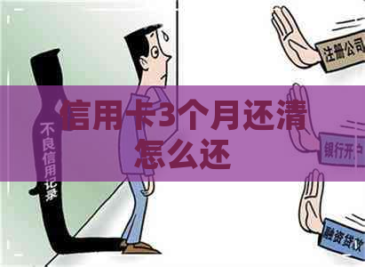 信用卡3个月还清怎么还