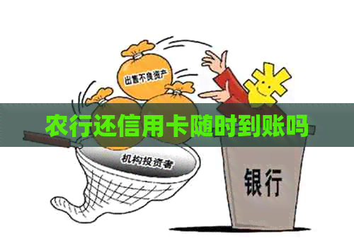 农行还信用卡随时到账吗