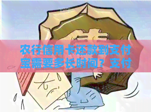 农行信用卡还款到支付宝需要多长时间？支付宝还款流程全面解析