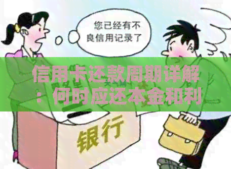 信用卡还款周期详解：何时应还本金和利息？
