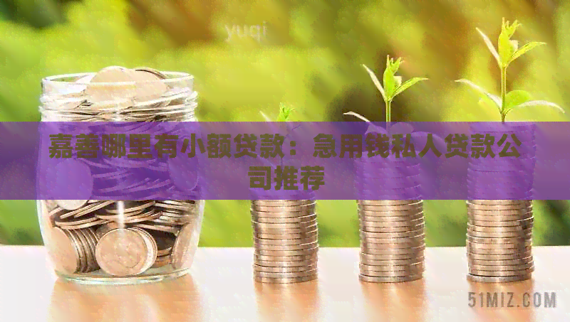 嘉善哪里有小额贷款：急用钱私人贷款公司推荐