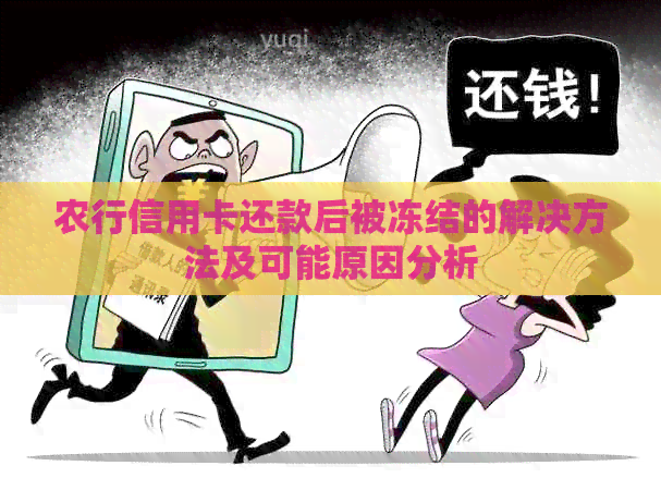 农行信用卡还款后被冻结的解决方法及可能原因分析
