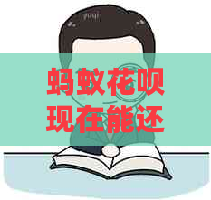 蚂蚁信用卡现在能还信用卡吗？
