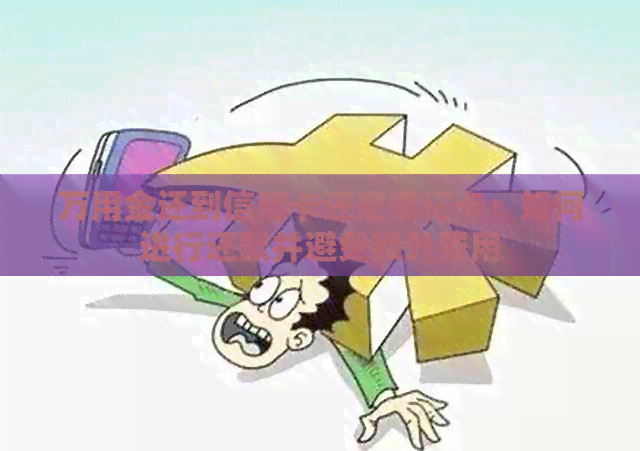 万用金还到信用卡还是借记卡：如何进行还款并避免额外费用