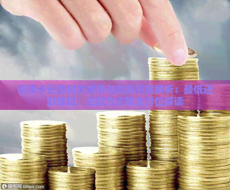 信用卡还款相关费用与利息详细解析：更低还款额度、还款方式等全方位解读