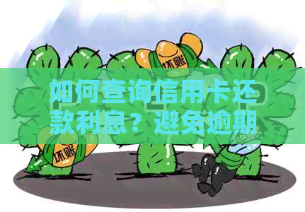 如何查询信用卡还款利息？避免逾期产生的额外费用