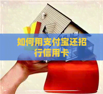 如何用支付宝还招行信用卡