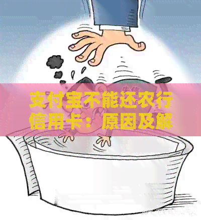 支付宝不能还农行信用卡：原因及解决方法