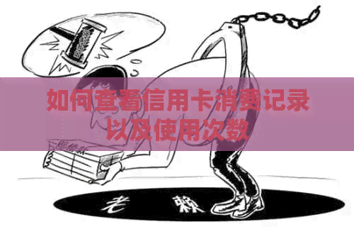 如何查看信用卡消费记录以及使用次数