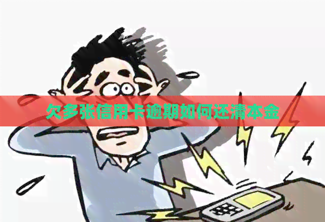 欠多张信用卡逾期如何还清本金